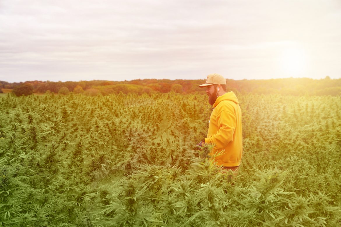 Hemp Industry Liability Considerations