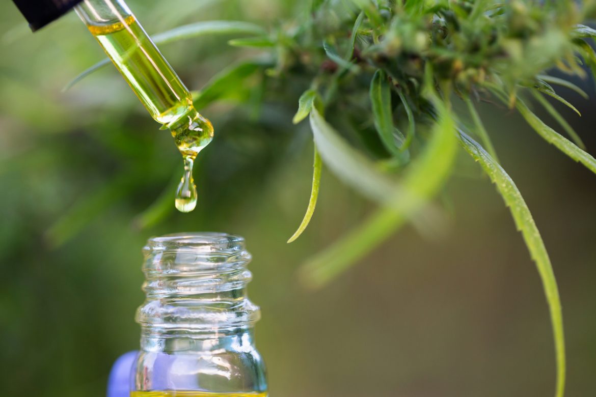 How to Start Your CBD Business in 8 Easy Steps - AllTopStartups