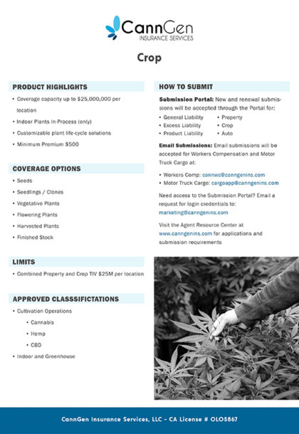 Microsoft Word - Cannabis WC Supplelemental.docx