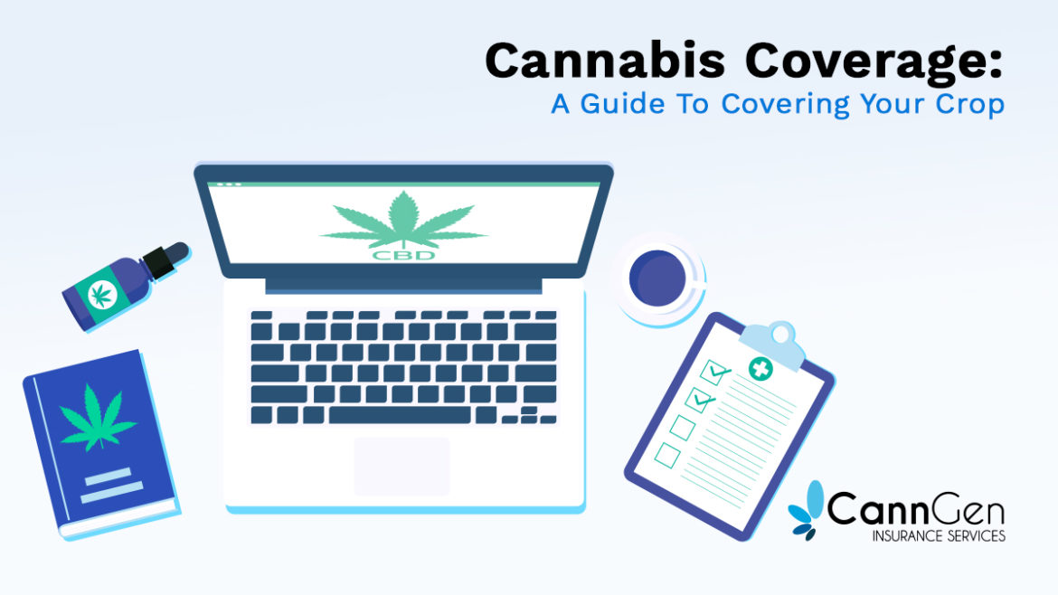 Choosing the right insurance policy for your cannabis cultivation business.