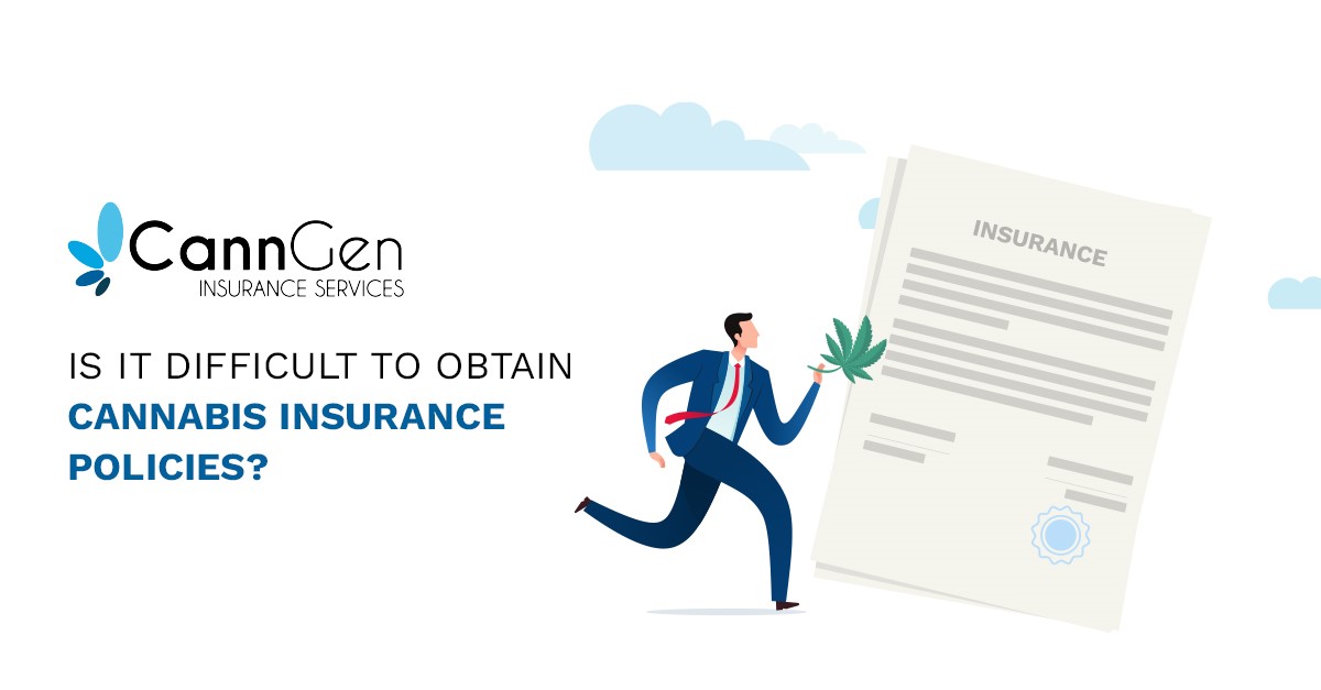 Is It Difficult to Obtain Cannabis Insurance Policies?