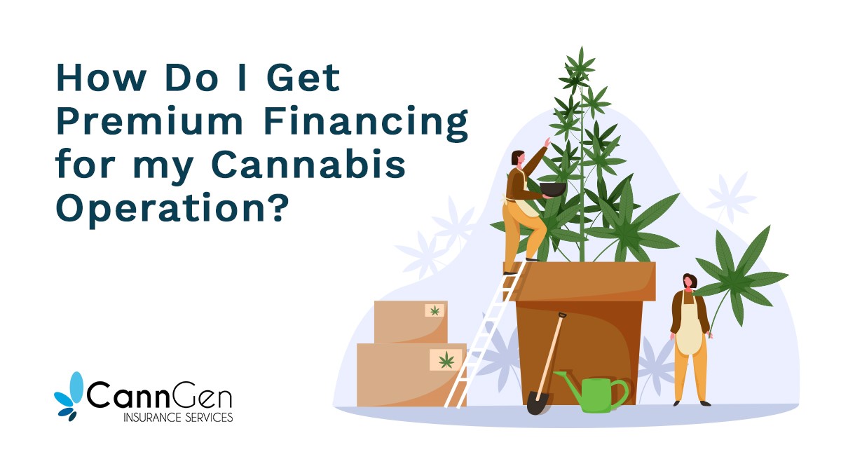 How Do I Get Premium Financing for my Cannabis Operation
